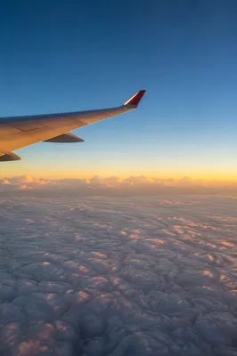 Airplane Wing at Sunrise Above Clouds