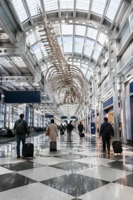 Modern Airport Departure Gate Travelers
