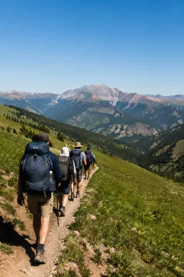 Backpackers Hiking a Sunlit Alpine Trail