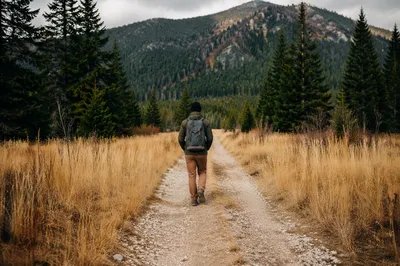 Lone Hiker on Mountain Gravel Trail