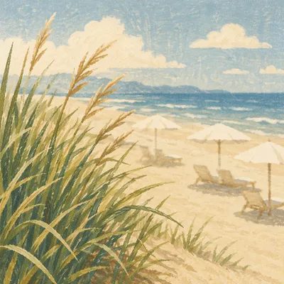 Beach Umbrellas and Chairs by Ocean