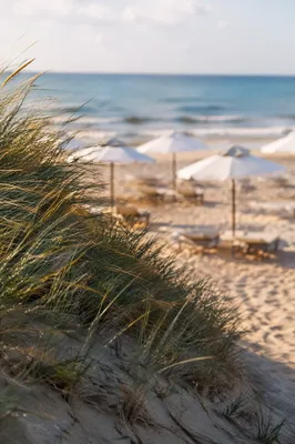 Beach Umbrella and Chair Ocean View