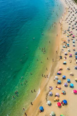 Aerial Summer Beach with Umbrellas and Ocean