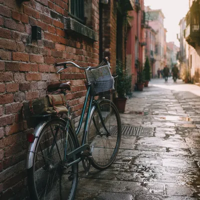 Bicycle by Brick Wall Urban Morning