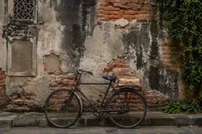 Vintage Bicycle by Weathered Urban Wall