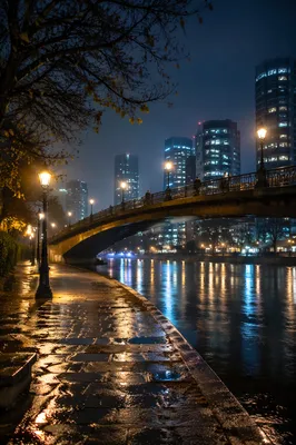 Night Bridge Over River City Lights