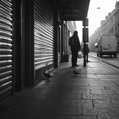 Quiet City Bus Stop Morning Scene
