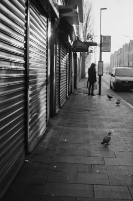 Quiet City Bus Stop Morning Silhouette