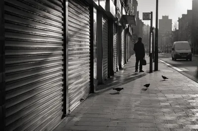 Quiet City Bus Stop at Dawn