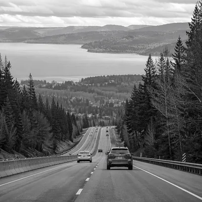 Misty Highway Road Trip Through Forested Hills