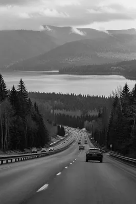 Misty Highway Road Trip Through Forest Hills