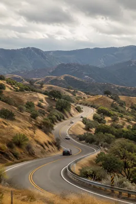 Scenic Highway Drive Through Golden Hills