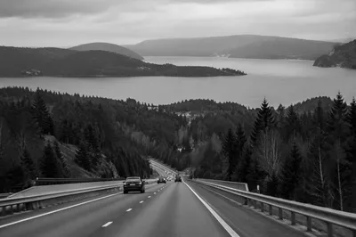 Misty Highway Road Trip Through Forest