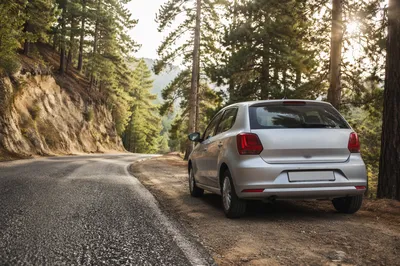 Silver Hatchback on Scenic Mountain Highway