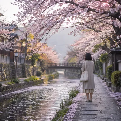 Serene Cherry Blossom Canal Spring Walk