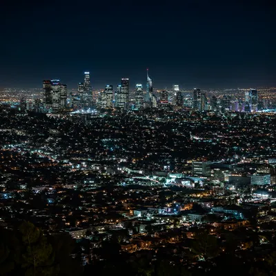 Nighttime Urban Skyline from Hillside View