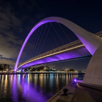 Violet Night Waterfront City Panorama