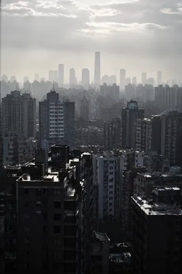 Misty Modern City Skyline Panorama