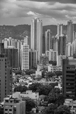 Black and White Modern City Skyline