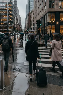 Rainy Downtown Crosswalk Travel Morning Scene