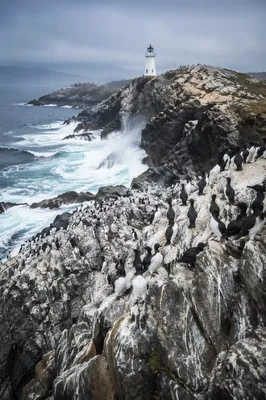 Distant Lighthouse Above Dramatic Rocky Coast
