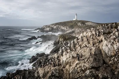Distant Lighthouse Above Rugged Ocean Cliffs