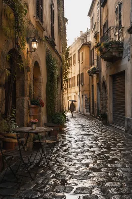 Rain-Kissed Cobblestone Street in Old Europe