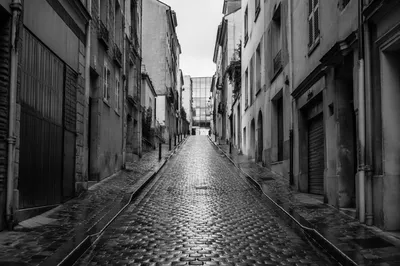 Rainy European Cobblestone Street at Dawn