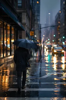 Rainy City Street Reflections at Blue Hour