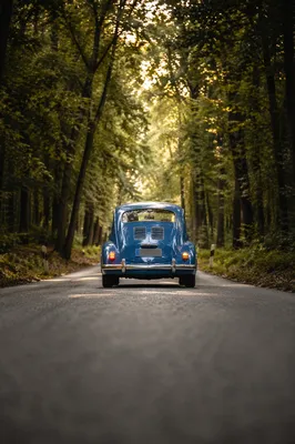 Vintage Blue Car on Forest Road Trip