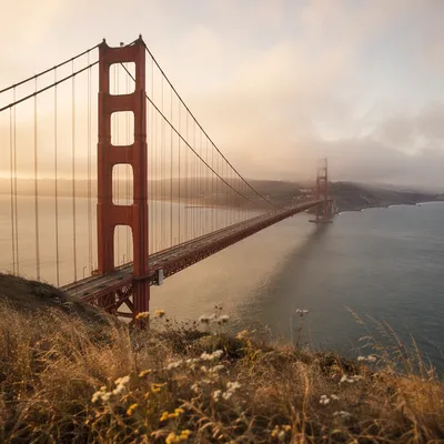 Foggy Coastal Suspension Bridge Scenic View