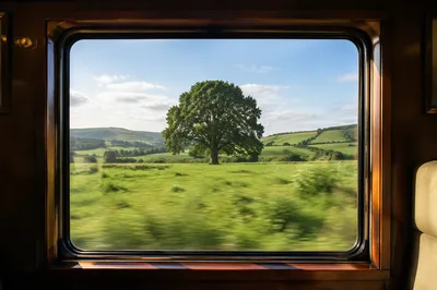Peaceful Countryside View Through Train Window