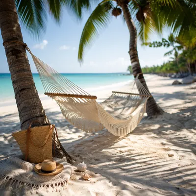 Peaceful Tropical Hammock by Palm Trees
