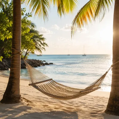 Serene Tropical Hammock at Sunrise Beach