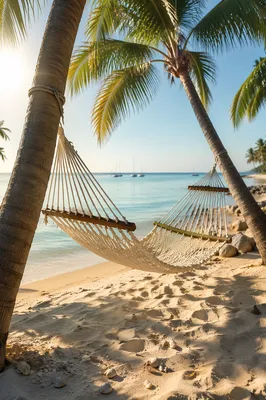 Tropical Hammock on Peaceful Palm Beach
