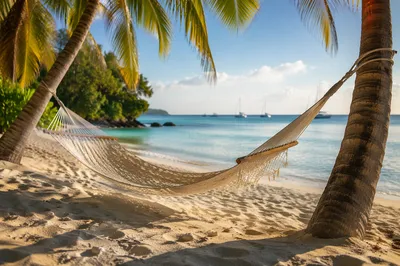 Peaceful Tropical Hammock Beach Sunrise Scene