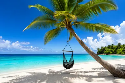 Tropical Hammock Chair on Quiet Beach