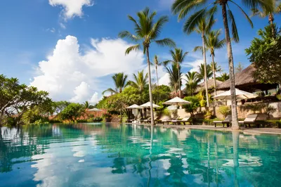 Serene Tropical Resort Pool with Palm Trees