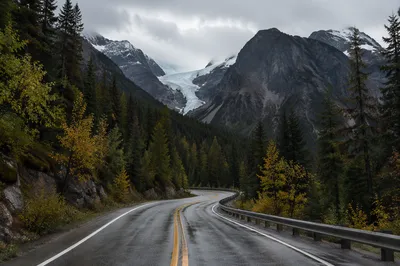 Wet Mountain Hairpin Road Through Alpine Forest