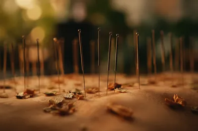 Acupuncture Needles for Calm Wellness Therapy