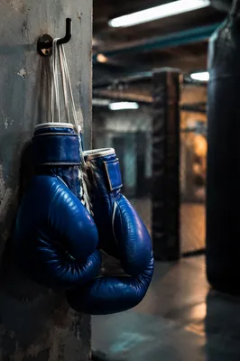 Cobalt Boxing Gloves in Gritty Gym
