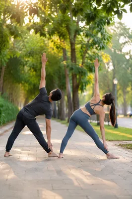 Partner Yoga in Morning Park Light