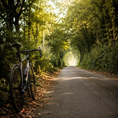 Road Bike on Misty Country Path