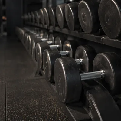 Organized Dumbbells in Modern Fitness Center