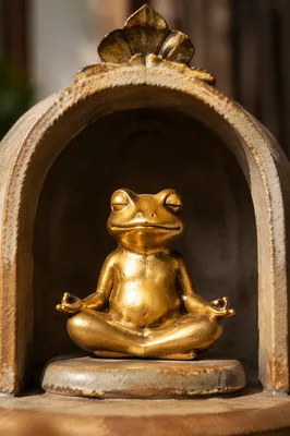 Peaceful Golden Frog Meditation Under Arch
