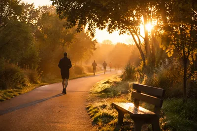 Sunrise Jogging Path in Golden Morning Light