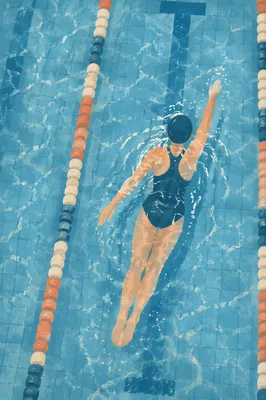 Overhead Swimmer in Calm Indoor Pool