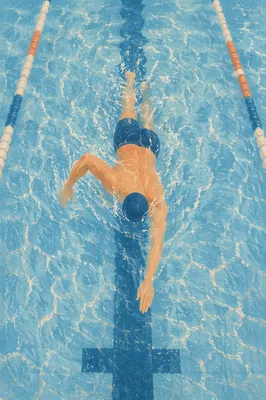 Overhead Swimmer in Calm Blue Pool Lane