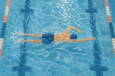 Overhead Swimmer in Calm Blue Pool Lane