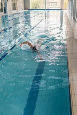 Focused Swimmer Laps in Quiet Indoor Pool